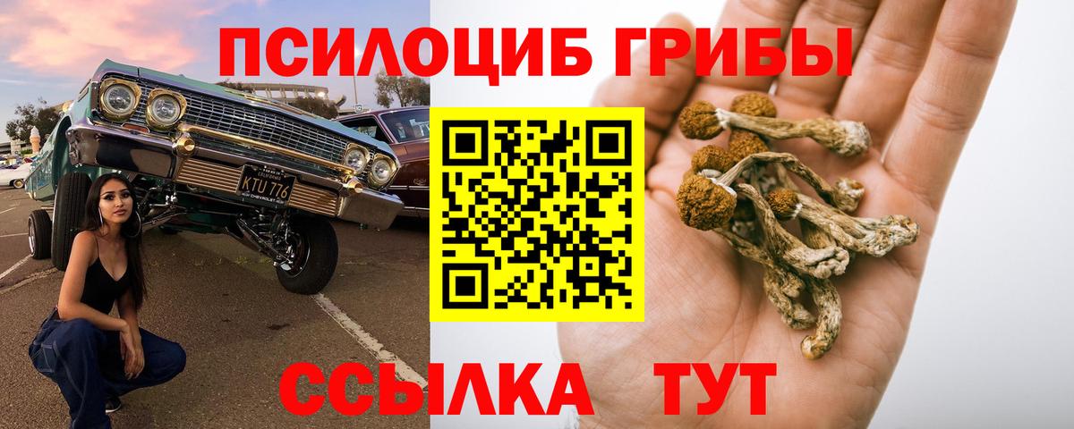 Марихуана Заволжье